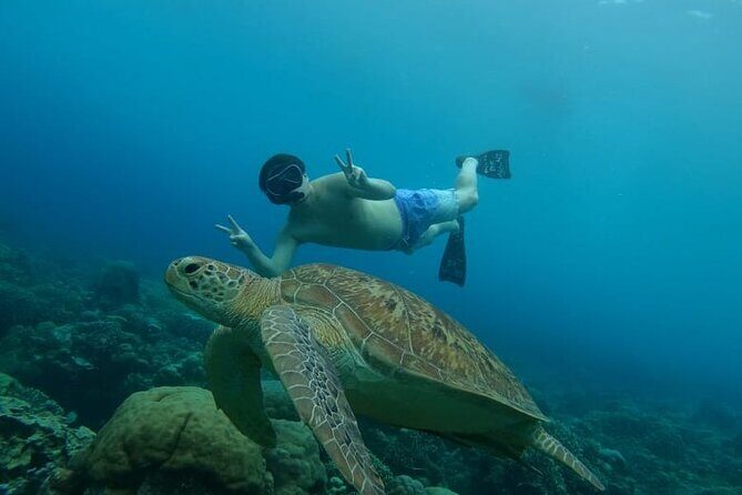 Gili Island Snorkeling Adventure Turtles Statues and Coral Garden - The Sum Up: Is It Worth It?