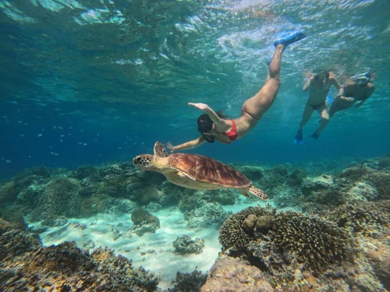 Gili Island Snorkeling Tour: 3 Gilis, 4 spots & GOPRO shoot - What To Expect During the Tour