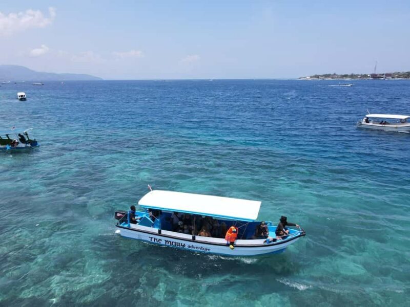 Gili island Snorkelling by private glass bottom boat - Key Points