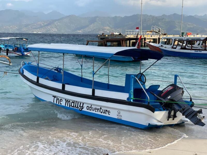 Gili island Snorkelling by private glass bottom boat - A Balanced Look at the Gili Island Snorkeling Tour