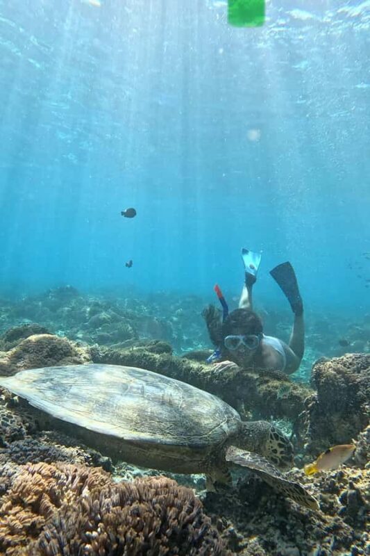 Gili island Snorkelling by private glass bottom boat - Why This Tour Offers Good Value