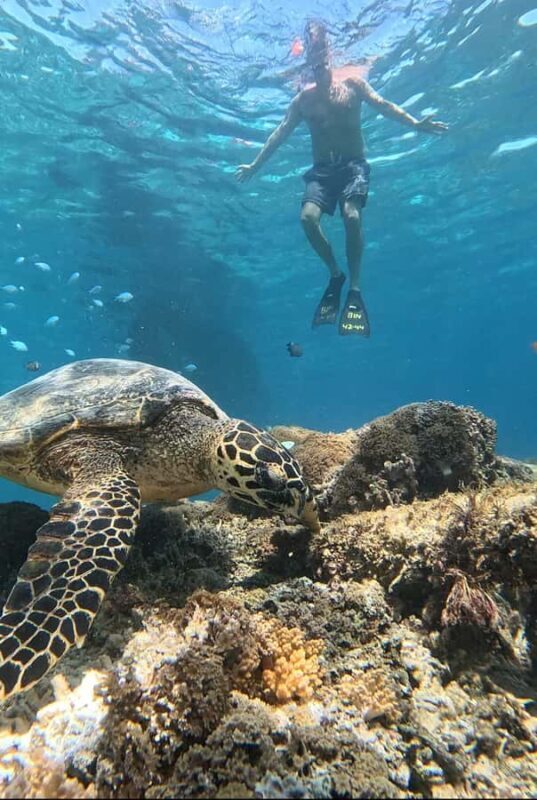 Gili island Snorkelling by private glass bottom boat - FAQ