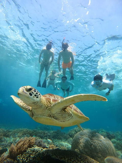 gili-island-tour-group-share-snorkeling-3-gili-island