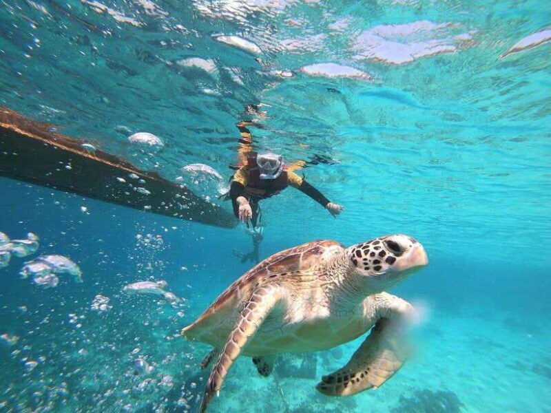 gili-islands-private-or-shared-snorkeling-boat-trip