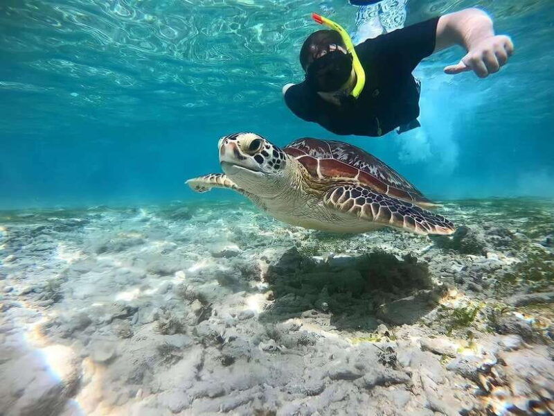gili-islands-private-snorkeling-boat-tour-with-local-guide