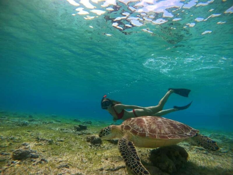 Gili Islands: Private Sunset & Snorkeling Tour with GoPro - The Value and Practicalities
