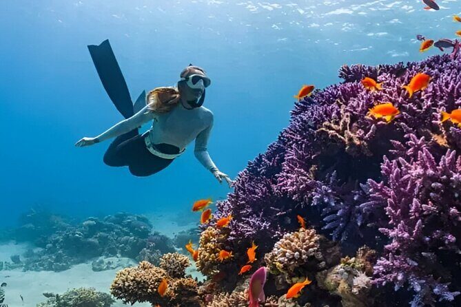 Gili Islands: Snorkeling Tour with Turtles and Statues - Key Points