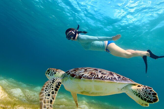 Gili Islands: Snorkeling Tour with Turtles and Statues - A Closer Look at the Snorkeling Adventure