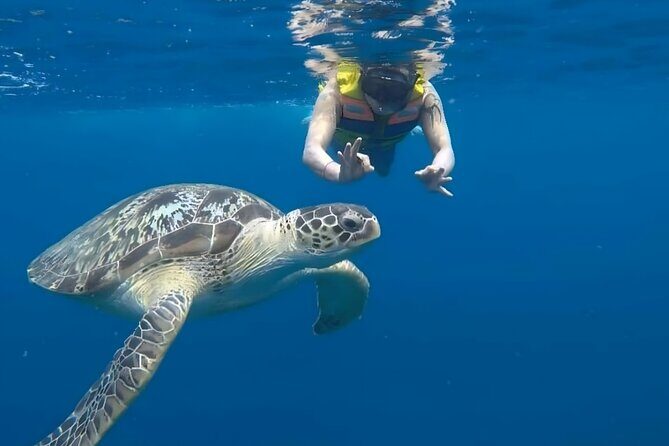 Gili Islands: Snorkeling Tour with Turtles and Statues - Who Will Love This Tour?