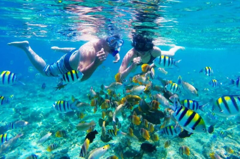 gili-islands-underwater-statues-cruise-and-snorkeling