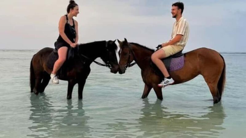 Gili Meno: 1-Hour Beginner Horse Riding Experience - Exploring Gili Meno on Horseback: What to Expect