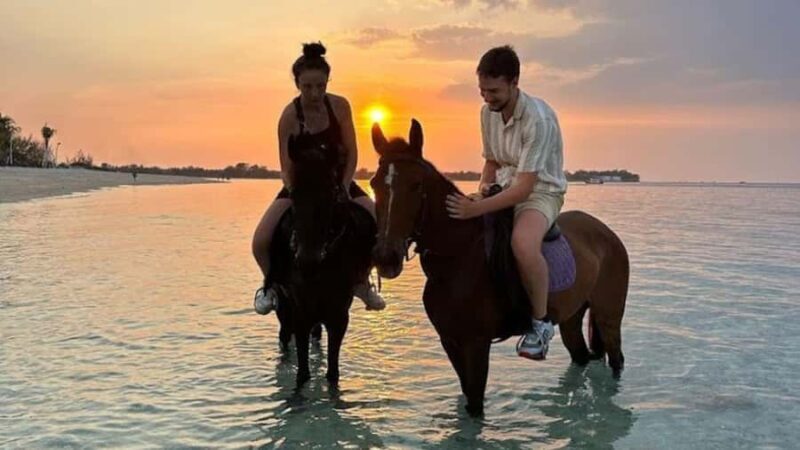 Gili Meno: 1-Hour Beginner Horse Riding Experience - Authentic Reviews and Insights