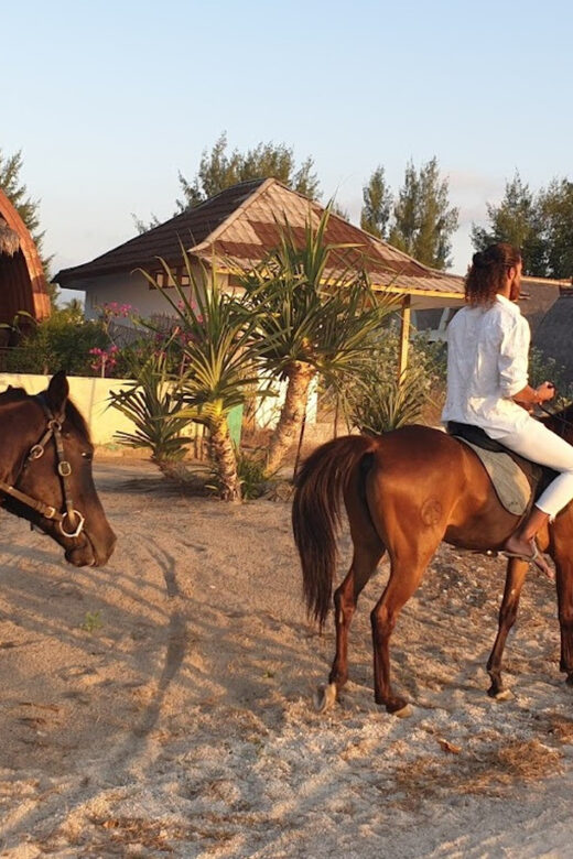 Gili Meno: 1-Hour Beginner Horse Riding Experience - Who Should Consider This Experience?