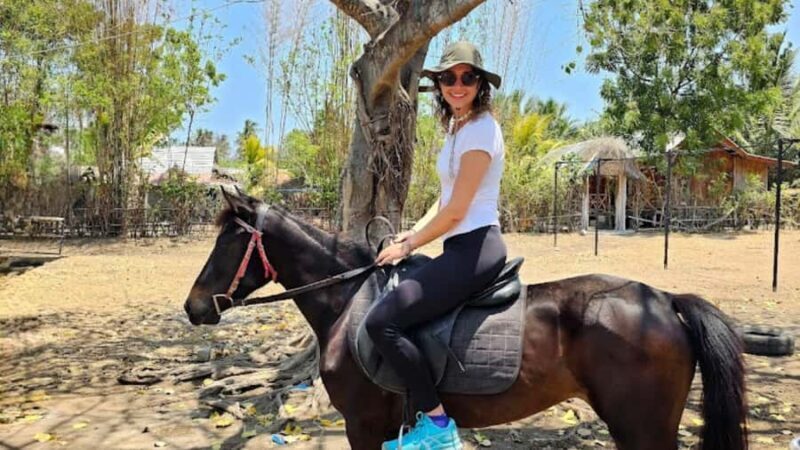 Gili Meno: 1-Hour Beginner Horse Riding Experience - The Sum Up