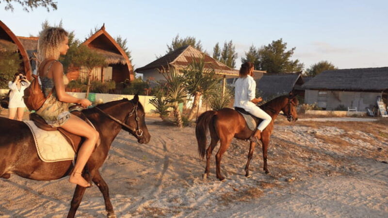 gili-meno-1-hour-horse-riding-adventure