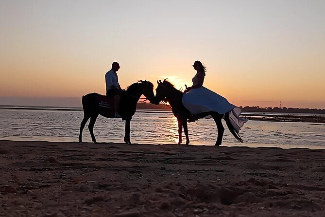 Gili Meno Horse Riding Adventure on the Beach for 1 Hour - The Itinerary: What to Expect