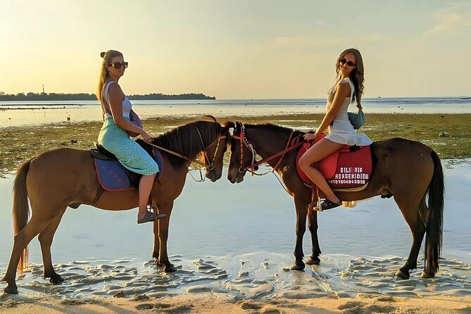 Gili Meno Horse Riding Adventure on the Beach for 1 Hour - The Sum Up