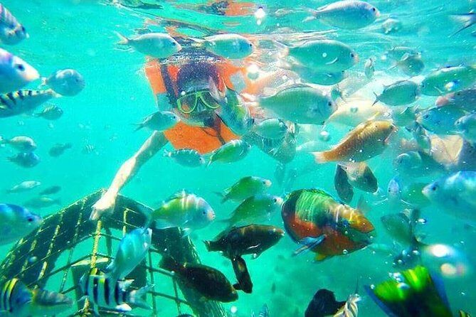 Gili Nanggu, Gili Kedis & Gili Sudak Private Tour - Transport and Timing