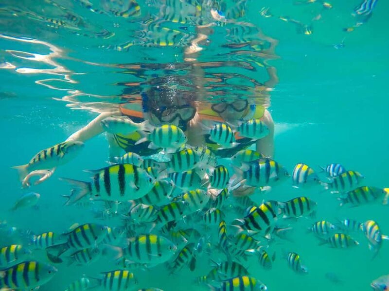 Gili Nanggu Snorkeling Tour from Lombok - Transportation & Comfort