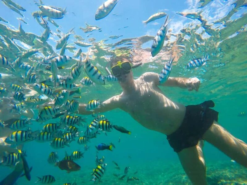 Gili Nanggu Snorkeling Tour from Lombok - Who Will Love This Tour?