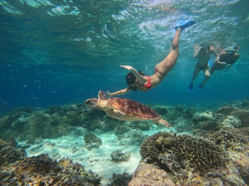 Gili Snorkeling Tour With GO PRO Documentation - The Itinerary Breakdown: What to Expect