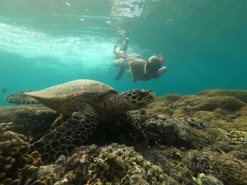 Gili SUNSET Snorkeling Tour With GOPRO Documentation - Authentic Experiences & Review Insights