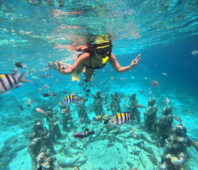 gili-t-private-snorkeling-trip-5-hours-3-gili