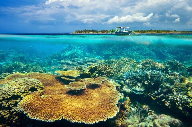 Gili Ticket Transfer and back to bali for the next day - What to Expect from the Gili Ticket Transfer