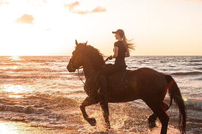 Gili Trawangan Beach Horseback Riding with Pickup Hotel - A Closer Look at the Experience