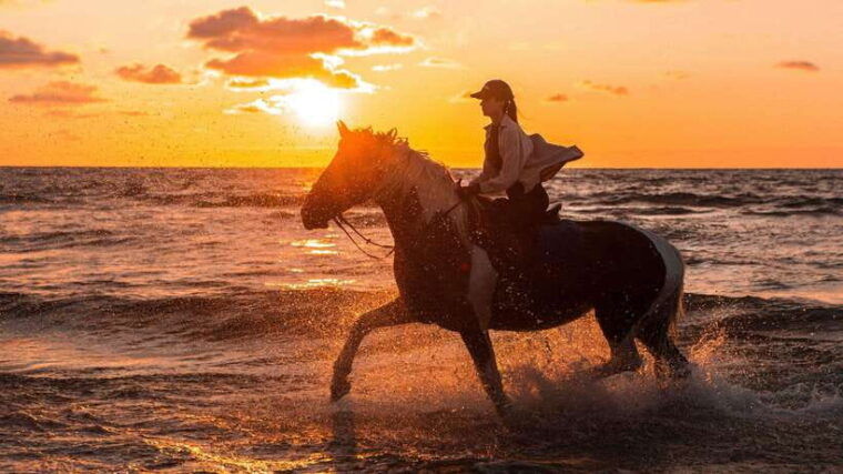 gili-trawangan-beach-horseback-riding-with-pickup-hotel