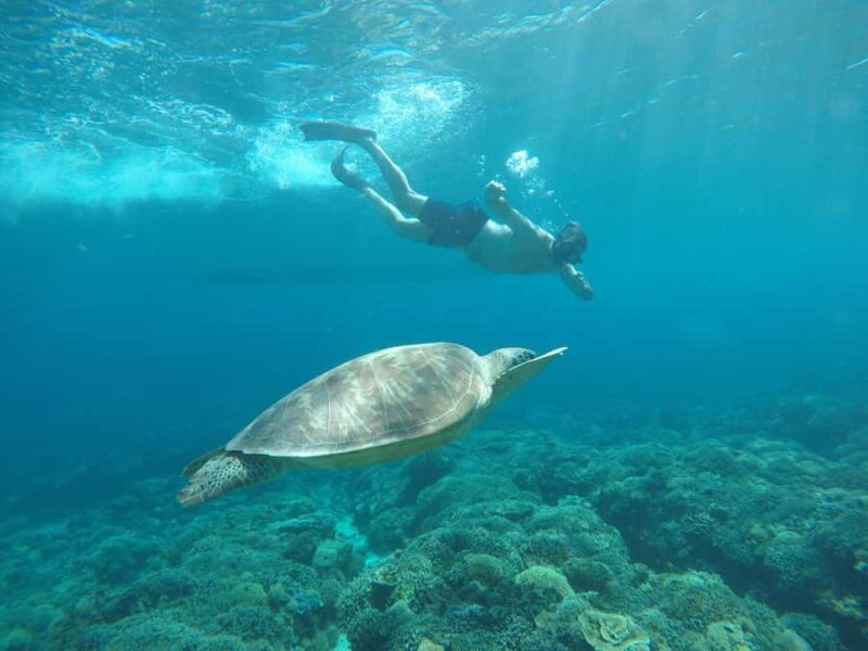 Gili Trawangan Best Snorkeling Trip With GOPRO documentation - Key Points