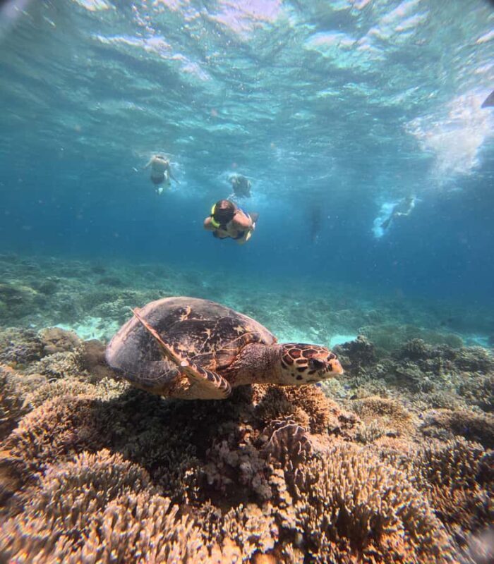 Gili Trawangan Best Snorkeling Trip With GOPRO documentation - What Makes This Tour Stand Out