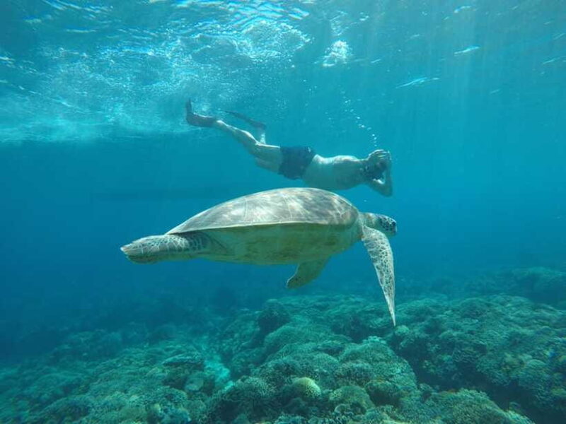 Gili Trawangan Best Snorkeling Trip With GOPRO documentation - FAQ