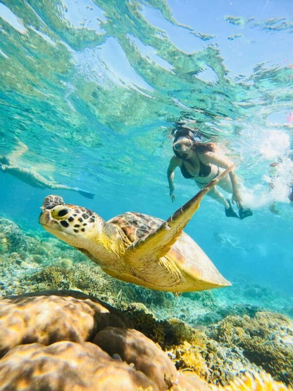 Gili Trawangan: Cycling Tour with Snorkeling and Viewpoint - Gili Trawangan: Cycling Tour with Snorkeling and Viewpoint—A Practical Review