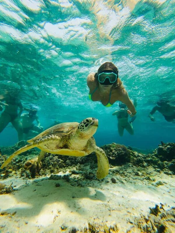 Gili Trawangan: Cycling Tour with Snorkeling and Viewpoint - The Reality Versus Expectations