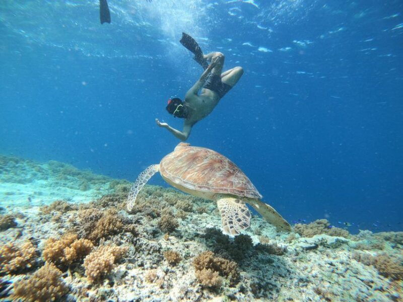 gili-trawangan-gili-islands-sunset-boat-tour-and-snorkeling