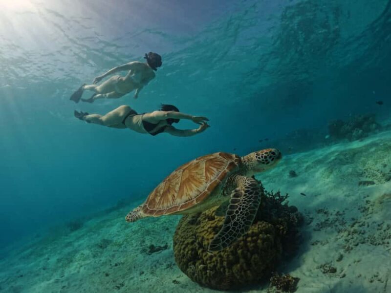 Gili Trawangan: GoPro Hero 12 Rental - Key Points