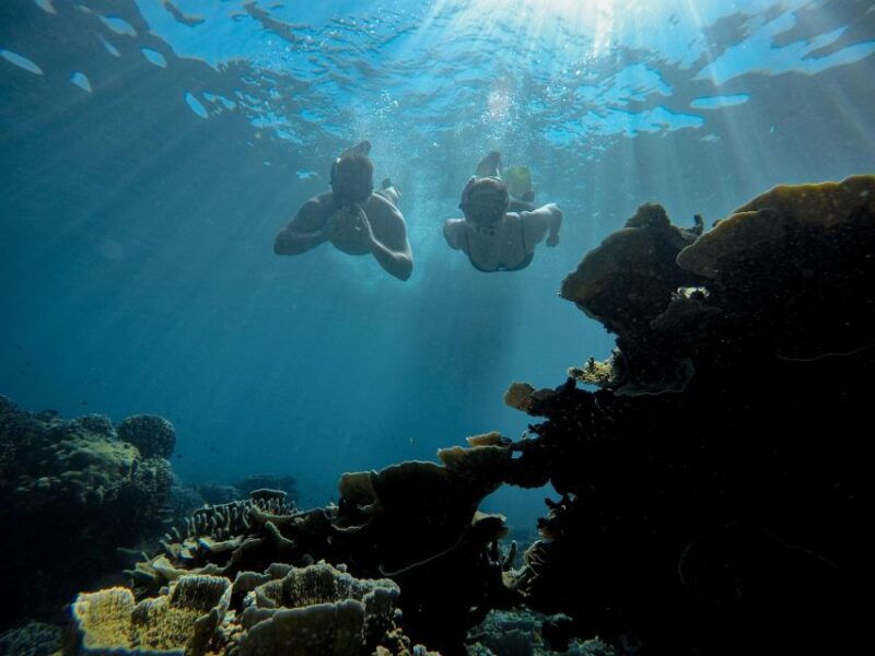gili-trawangan-half-day-snorkeling-with-turtle-and-statue