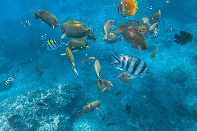 Gili Trawangan Island Day trip from Bali - The island experience