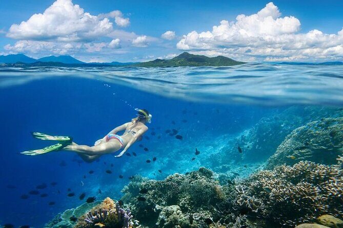 Gili Trawangan : Private Snorkeling with 3 spots or 4 spots - Detailed Review of the Gili Trawangan Snorkeling Tour