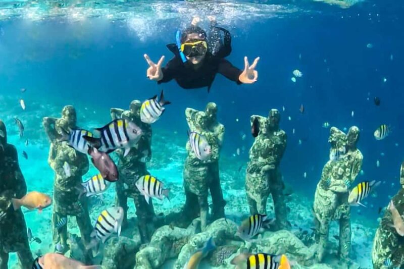 Gili Trawangan: Public Snorkeling Tour with Turtles and BBQ - Key Points