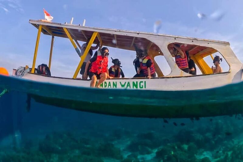 Gili Trawangan: Public Snorkeling Tour with Turtles and BBQ - The Full Experience: What You Can Expect