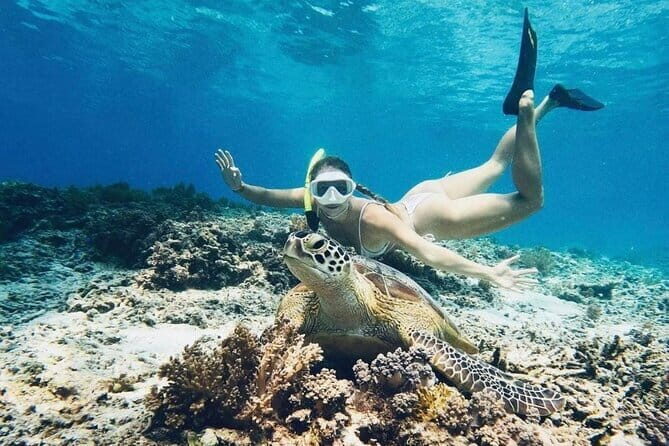 Gili Trawangan Snorkeling with Turtles & Underwater Statue - Starting Point and Logistics