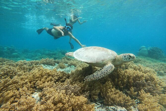 Gili Trawangan Snorkeling with Turtles & Underwater Statue - Break Time at Gili Air or Gili Meno