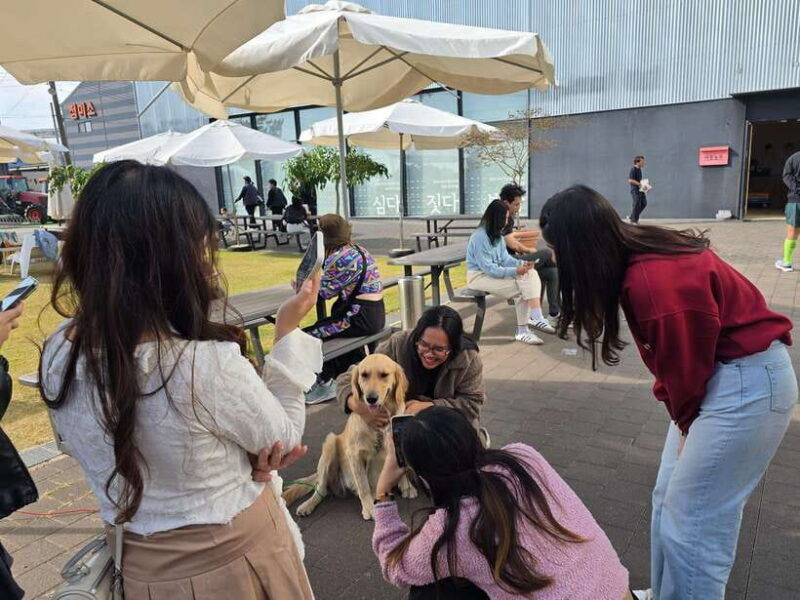 gimpo-gochujang-making-aegibong-peace-eco-park-visit