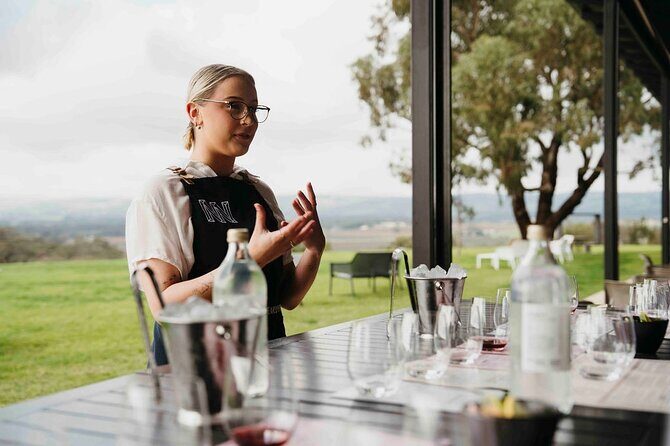 Gin and Italian Street Food Private Experience in McLaren Vale - Why This Tour Works Well for Travelers