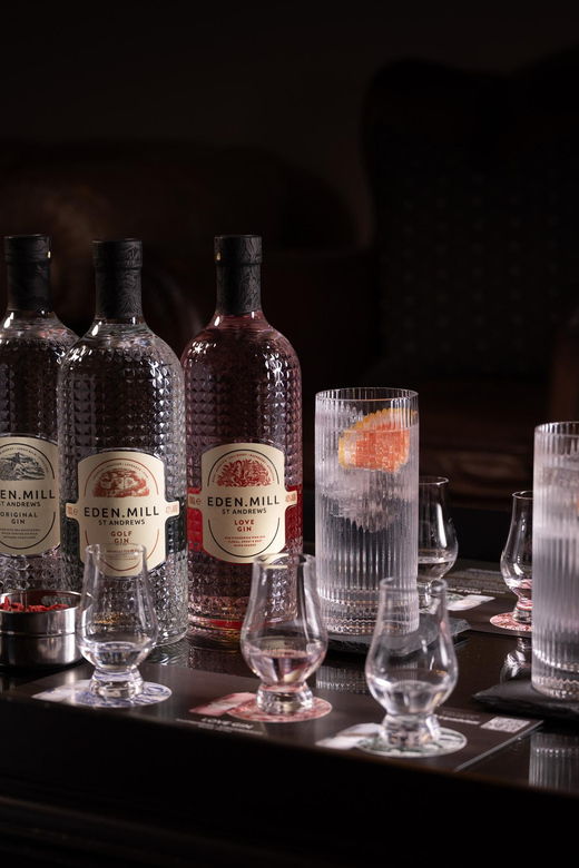 gin-tasting-experience-with-a-perfect-serve-2