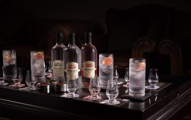 gin-tasting-experience-with-a-perfect-serve-2