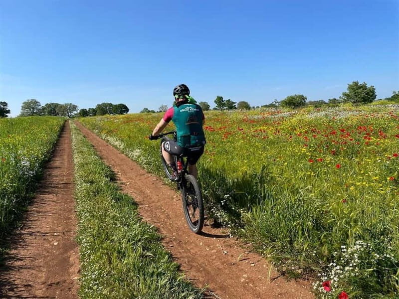 Gioia del Colle: E-Bike Tour through Vineyards & Wine - Who Would Love This Tour
