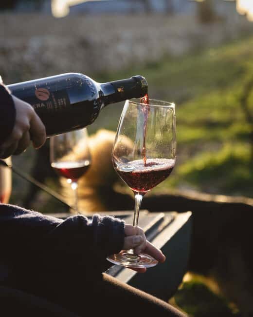 Gioia del Colle: Light Lunch with wine tasting - Key Points